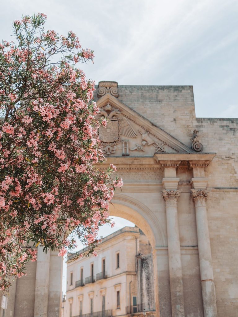 Porta Napoli a Lecce con un oleandro in fiore