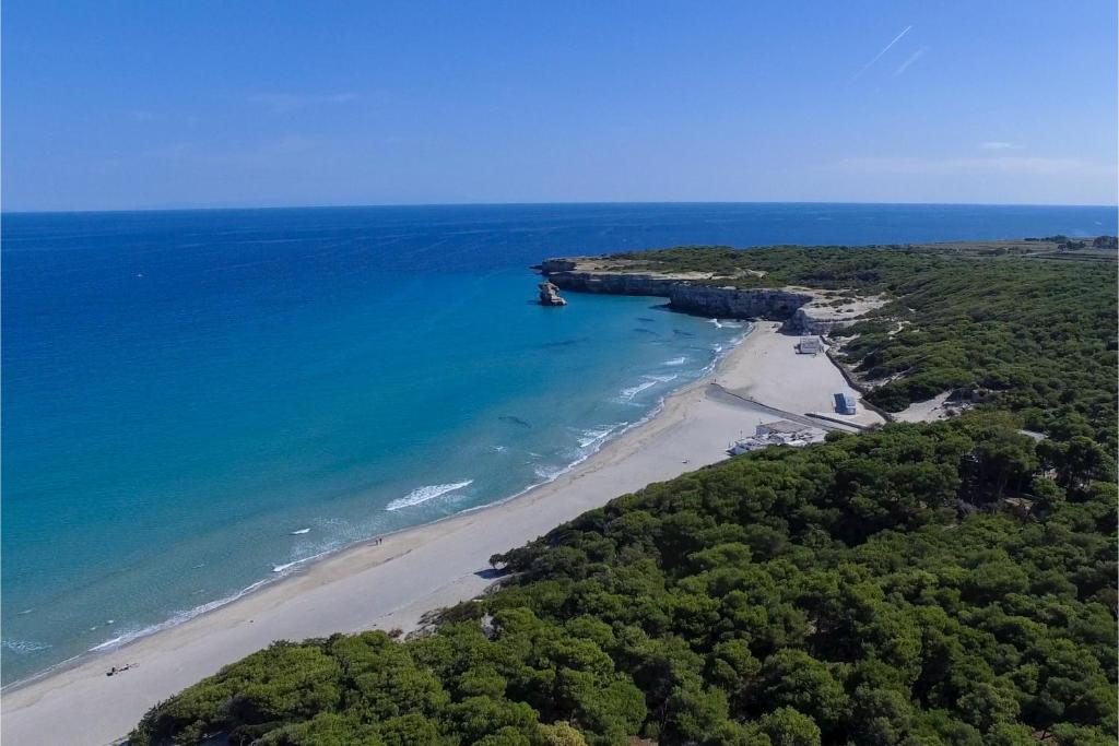 Vista aerea della spiaggia di Torre dell'Orso con pineta e faraglioni